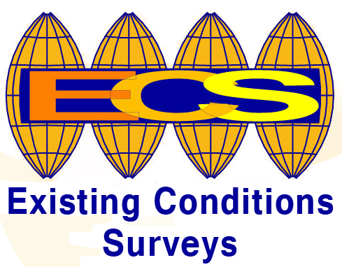 Existing Conditions Surveys